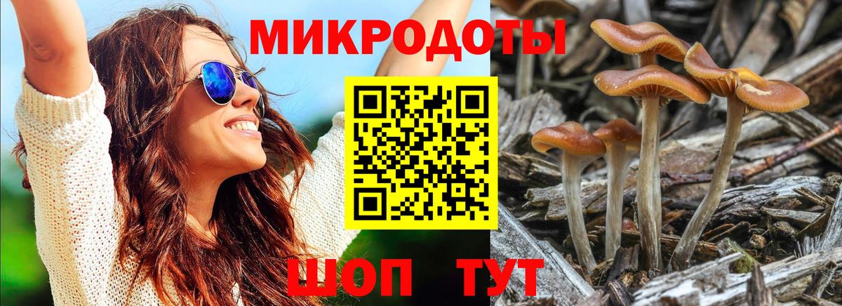 продажа наркотиков  Галлюциногенные грибы Psilocybe  Псилоцибиновые грибы мухоморы  Вход с VPN  Свободный 